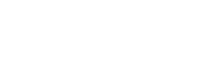 Leesaerom Logo